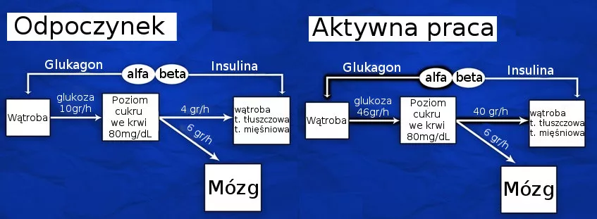 spożycie cukru 